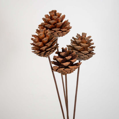 Closeup of natural brown pine cone on stick showing detailed texture dried floral stem decorative home arrangement.