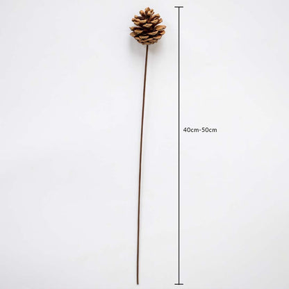 Pine cone stem measuring 40-50cm length displayed on white background with size scale for floral arrangement reference.