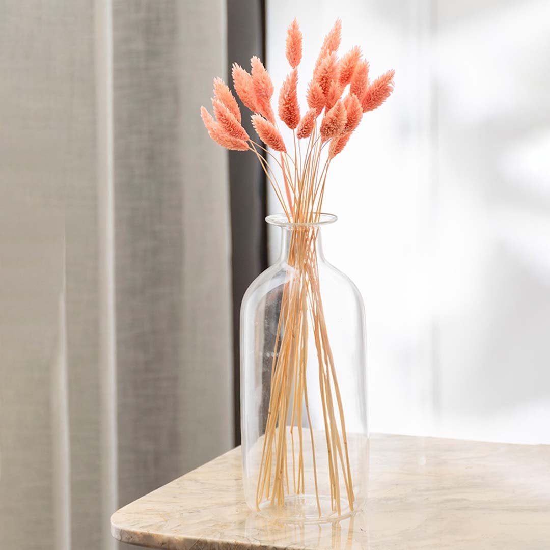 Clear glass vase with peach bunny tail dried stems displayed against a white background showcasing airy soft texture ideal for home decor styling.