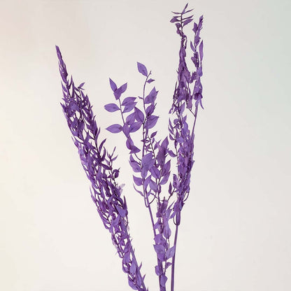 Detailed view of purple preserved eucalyptus leaves showing natural texture and vibrant color for home decoration.