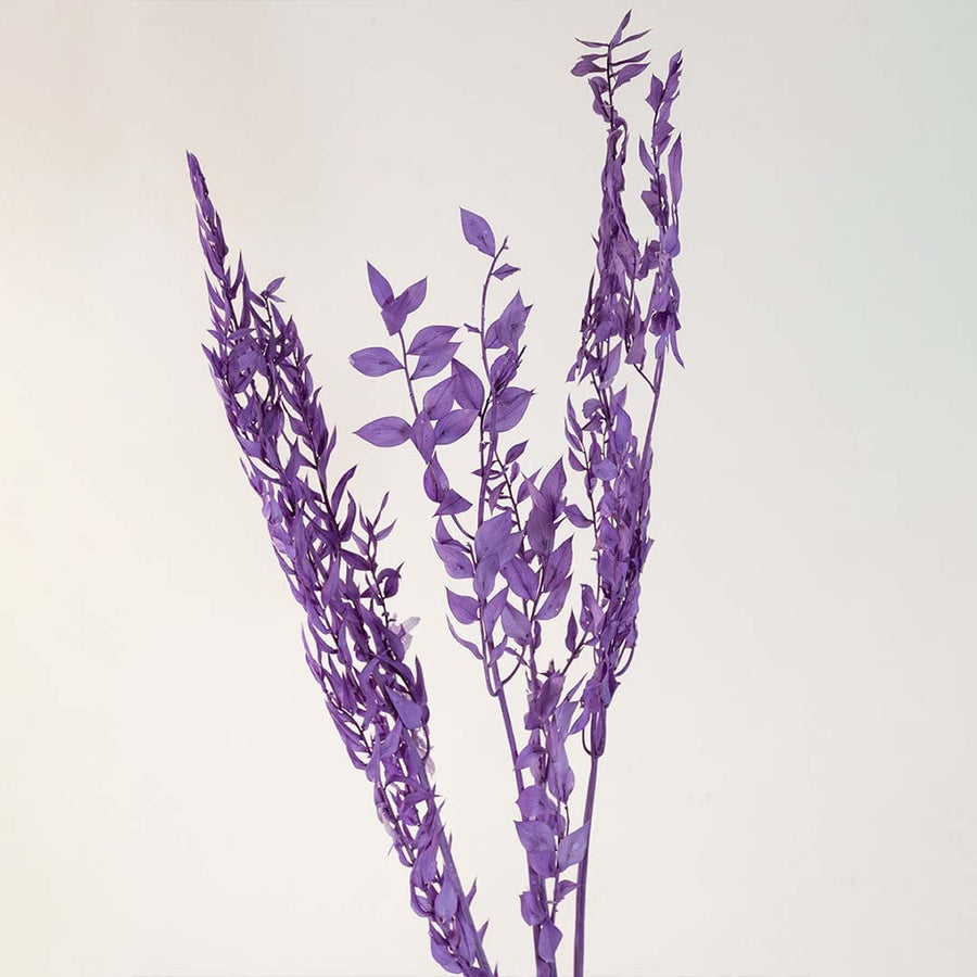 Detailed view of purple preserved eucalyptus leaves showing natural texture and vibrant color for home decoration.