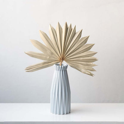 Beige dried palm leaf styled in a warm natural home setup adding soft earthy texture to modern interior decor.