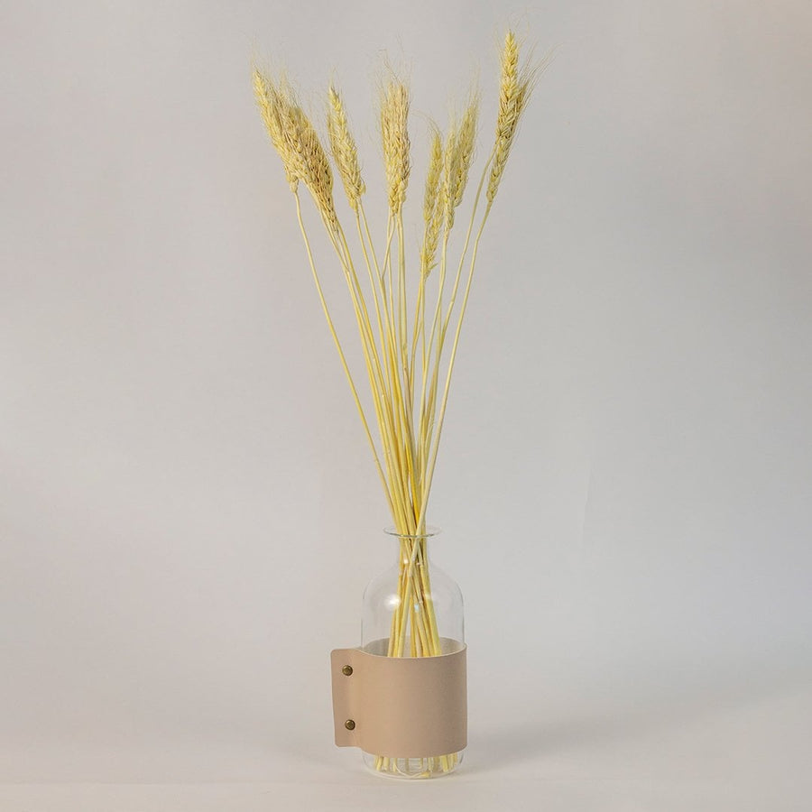 Light beige dried wheat stalks arranged in a clear glass vase with tan leather band giving a natural and minimal look.