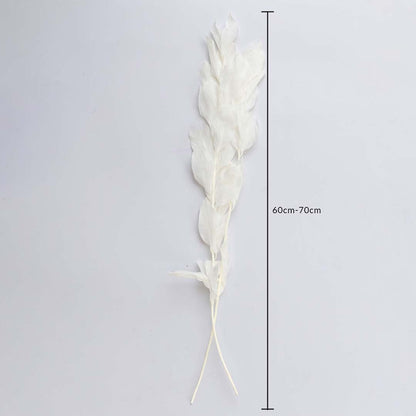 White dried leaf stem 60-70cm length displayed on white background for size dimension natural dried floral home decor.