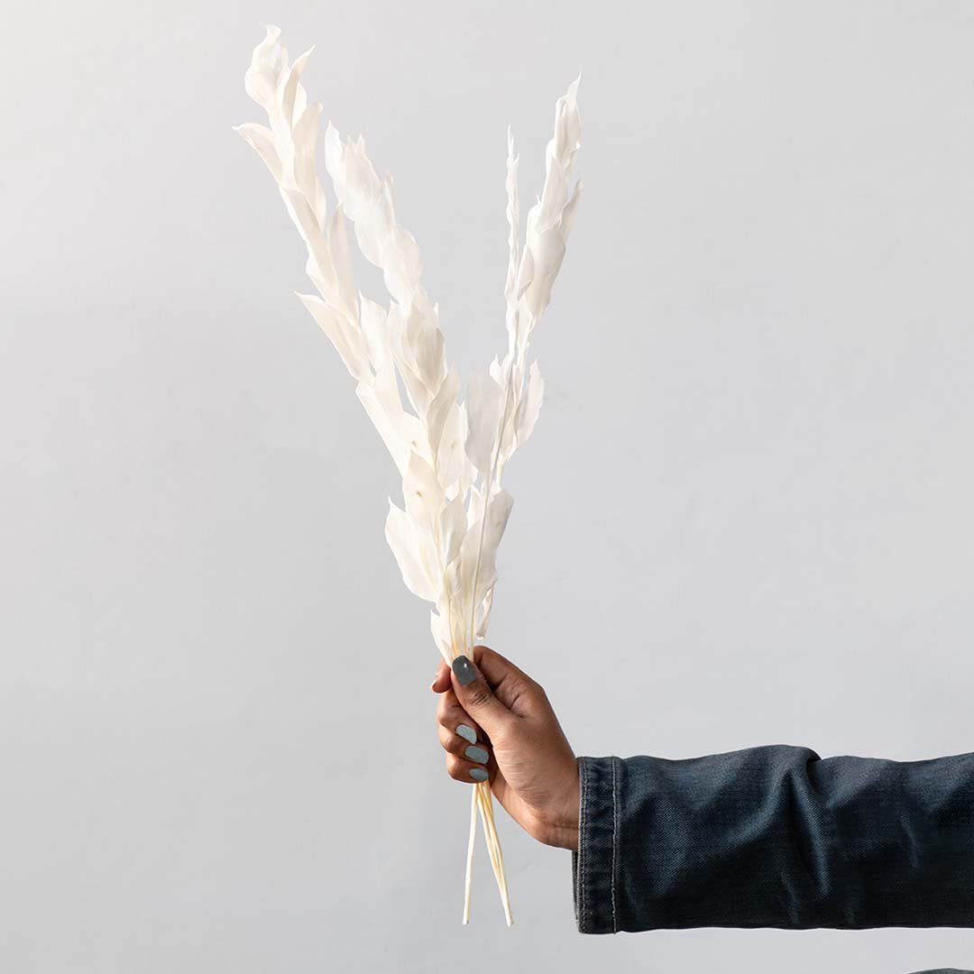 Dried White Leaves 5 Stems