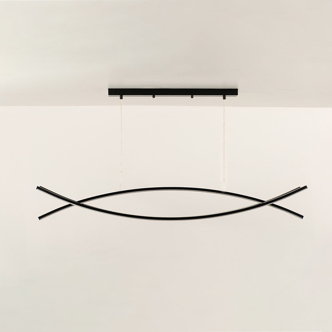Dual Curve Linear Light