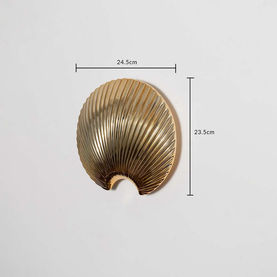 A gold shell decor accent shown with measurements displaying 24.5 cm width and 23.5 cm height offering a clear understanding of the overall size.