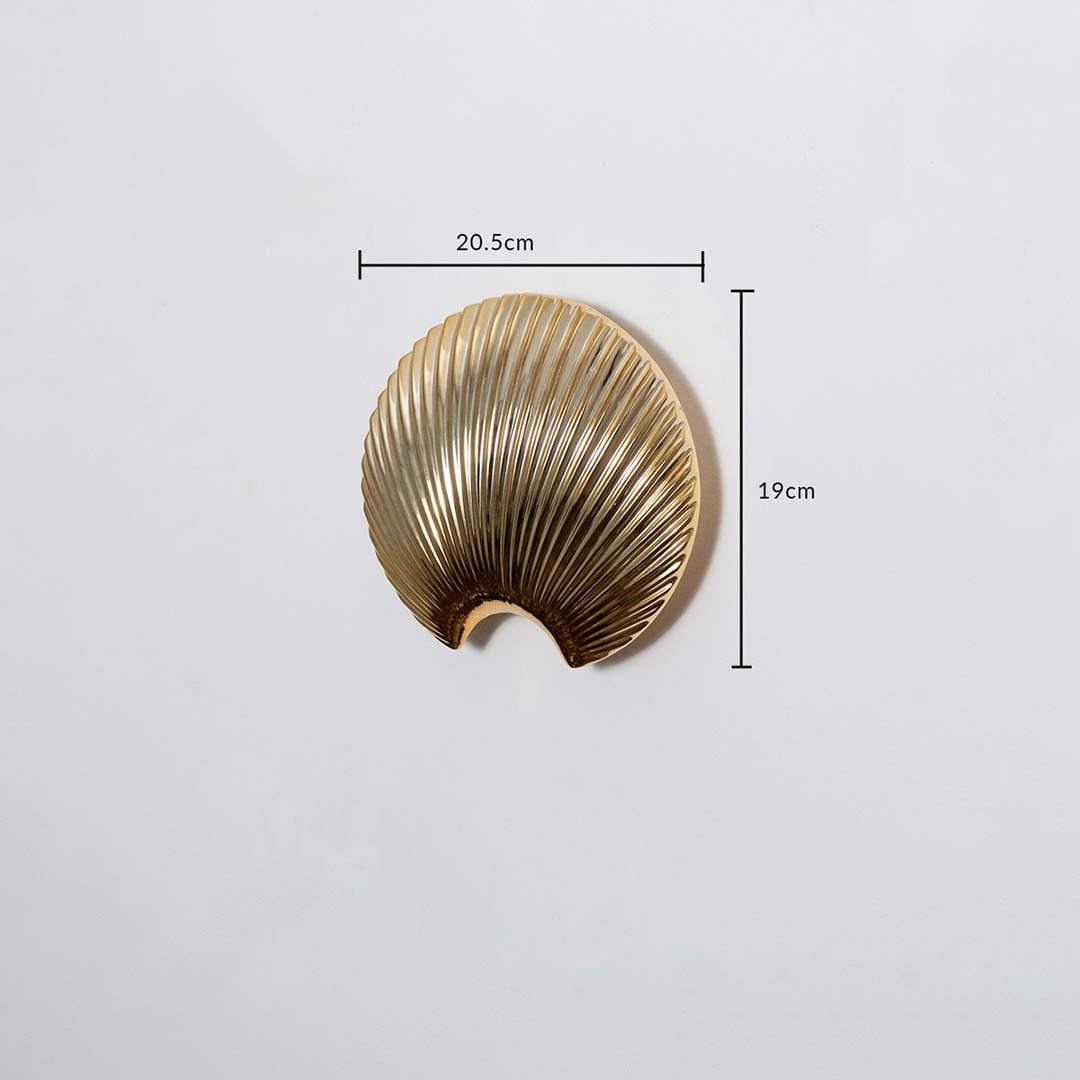 A gold shell decor accent displayed with measurements showing 20.5 cm width and 19 cm height offering a clear understanding of product size.