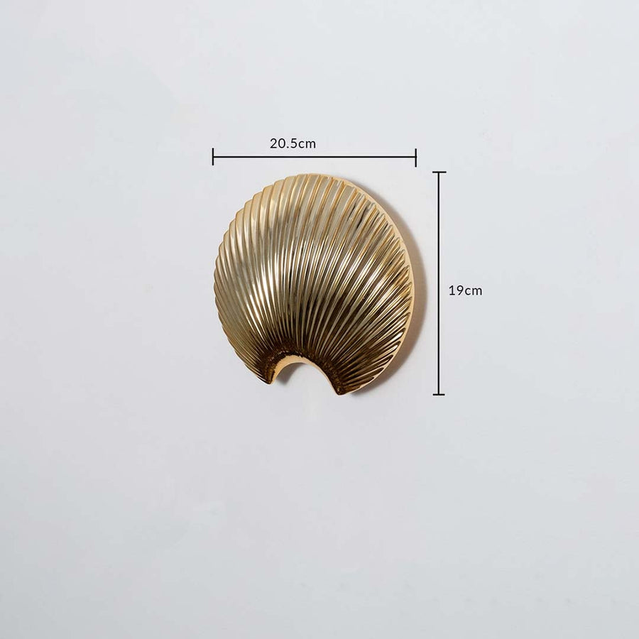 A gold shell decor accent displayed with measurements showing 20.5 cm width and 19 cm height offering a clear understanding of product size.