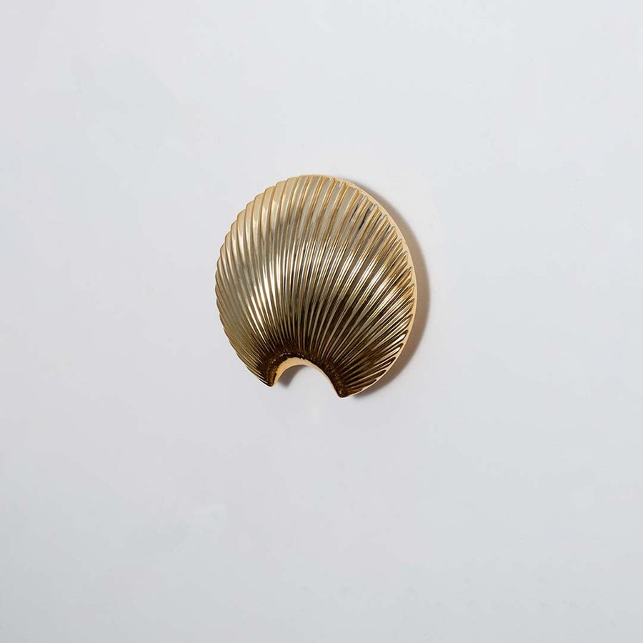 A gold shell decorative accent placed against a smooth white backdrop showcasing its metallic texture and elegant curved design clearly.