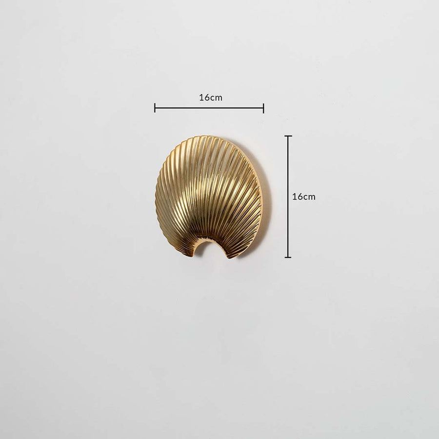 A gold shell decor piece shown with clear dimension markers displaying 16 cm height and 16 cm width highlighting its compact artistic form for accurate product reference.