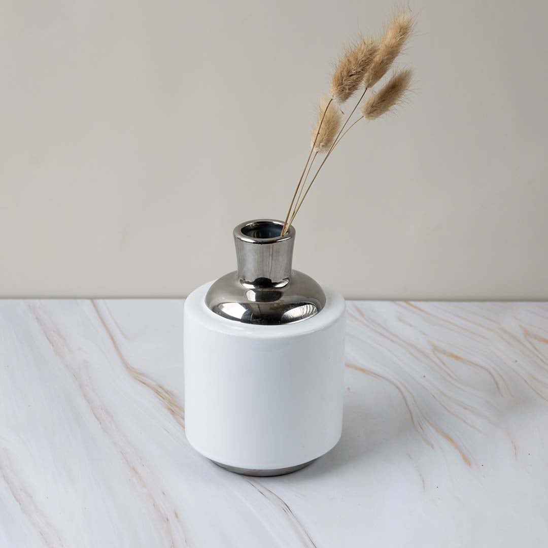 Elegant modern ceramic vase with silver neck displayed with dried stems adding charm to living space decor.