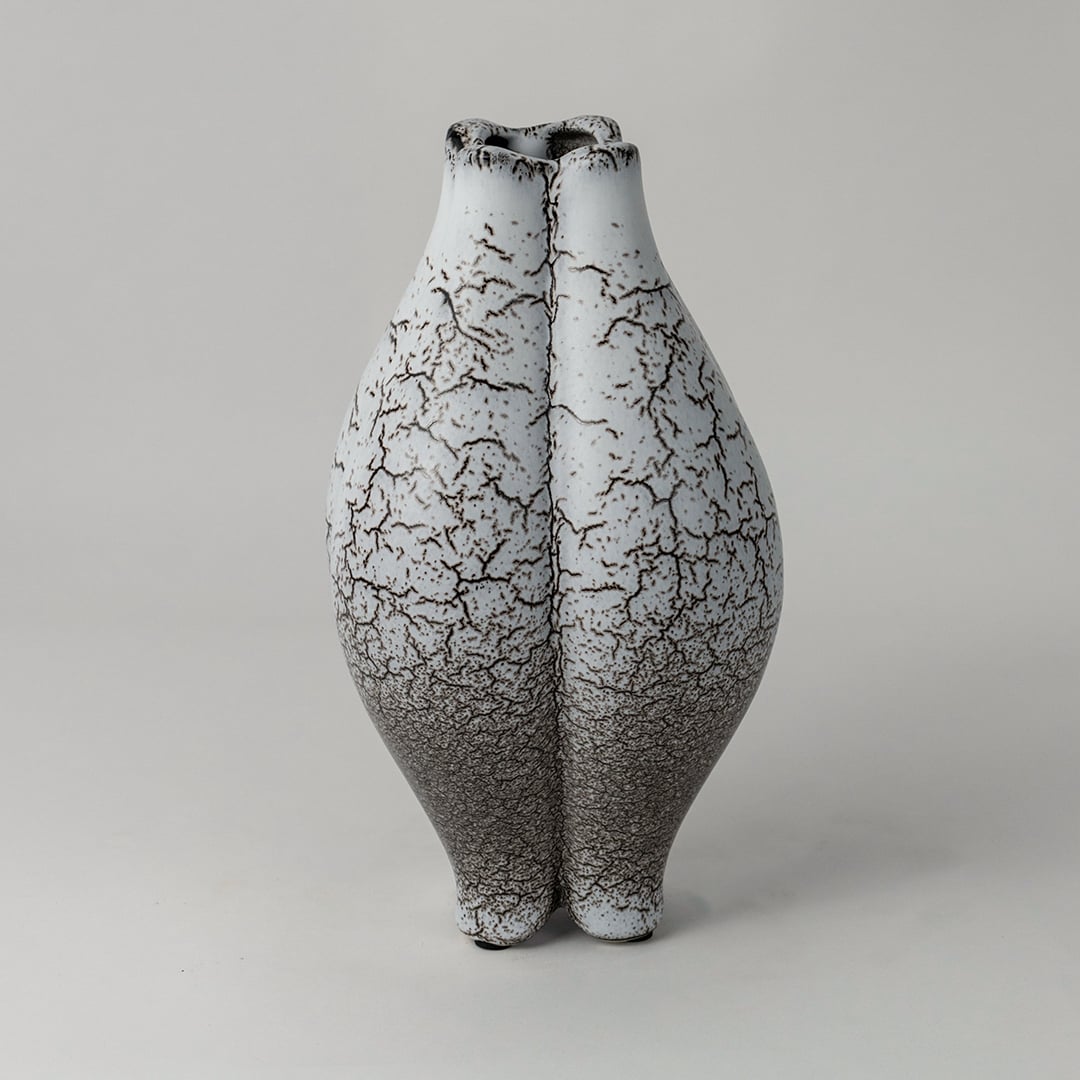 Crackle glazed ceramic vase displayed on white background highlighting its artistic texture and organic shape.
