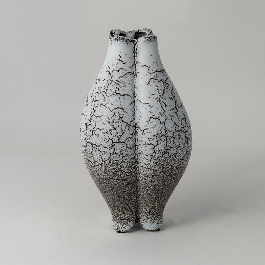 Crackle glazed ceramic vase displayed on white background highlighting its artistic texture and organic shape.
