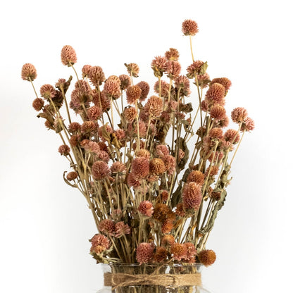 Dried flower arrangement with warm brown stems displayed in a bundled form offering an earthy natural décor accent ideal for rustic cozy and contemporary room styling.
