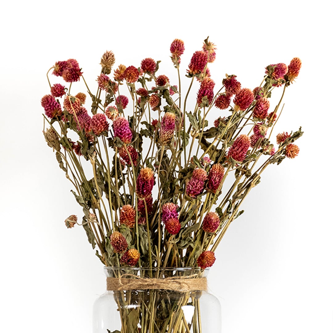 Purple dried flower placed in a clear glass vase creating a vibrant natural décor accent suitable for elegant modern and warm interior spaces.