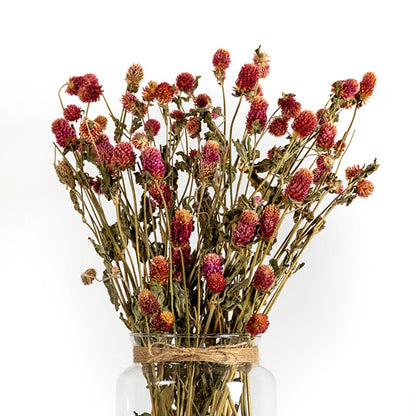 Purple dried flower placed in a clear glass vase creating a vibrant natural décor accent suitable for elegant modern and warm interior spaces.