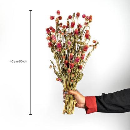 Dried flower arrangement with purple stems held by hand and measured at 40 cm creating a vibrant natural décor accent suitable for elegant modern and minimal interior settings.