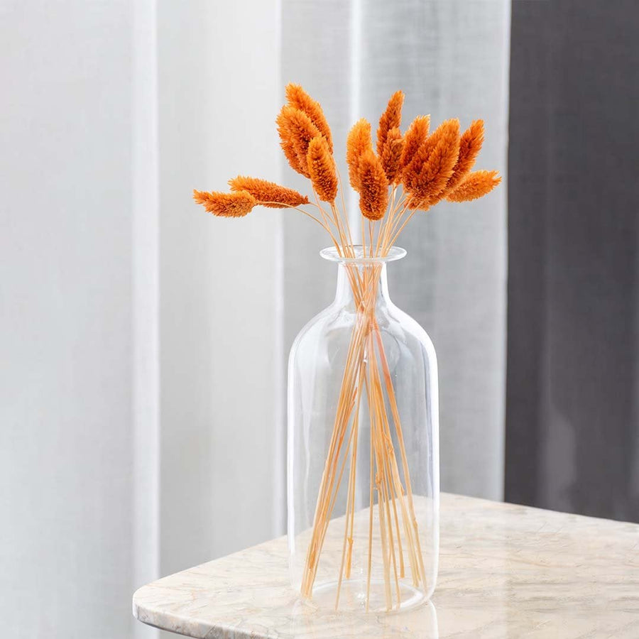 Bright orange dried bunny tail stems arranged in a clear glass vase on a marble tabletop creating a fresh elegant lifestyle decor accent in a modern home setting.