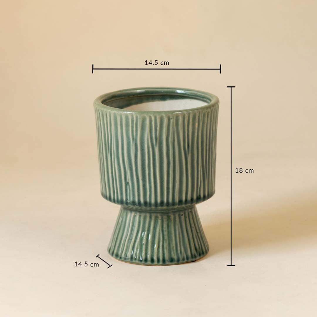 Green ribbed ceramic vase shown with 18 cm height and 14.5 cm width measurement for stylish interior decoration.