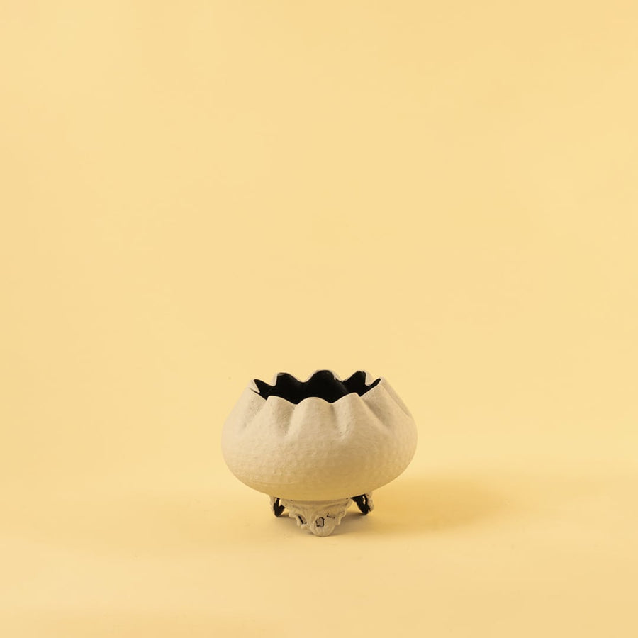 Cream metal scalloped bowl planter decor on a clean white background highlighting its textured elegant finish for home styling.