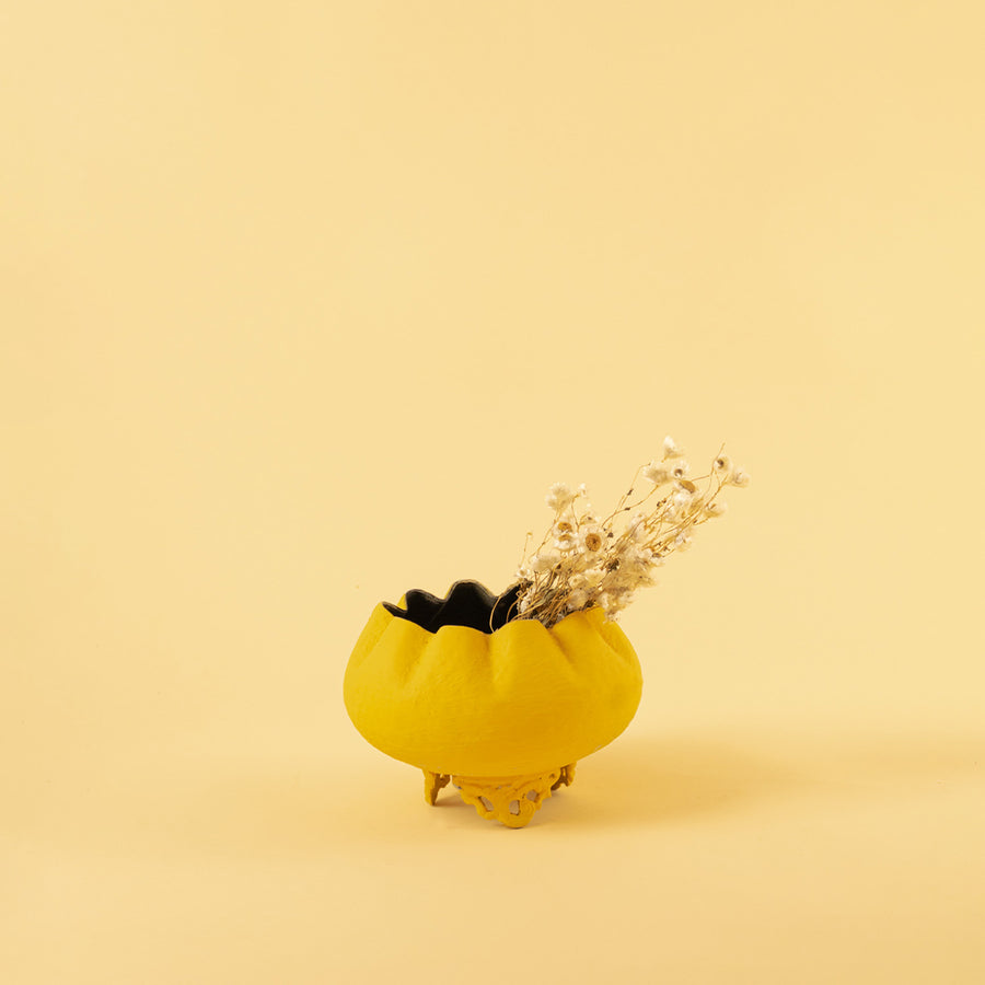 Small yellow textured bowl planter with dried buds for bright modern home decor and stylish tabletop accents.