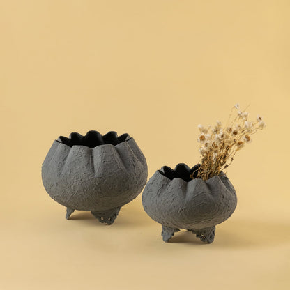 Grey metal scalloped bowl planters displayed together creating a refined modern decor look ideal for centre tables and shelves.