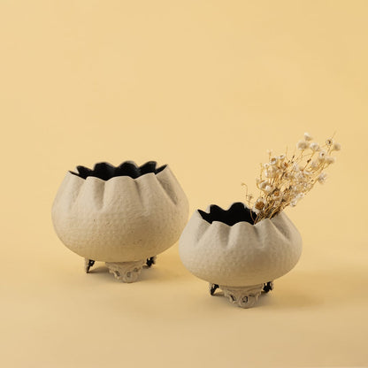 Cream metal scalloped bowl planters displayed together creating a refined modern decor look ideal for shelves centre tables and consoles.
