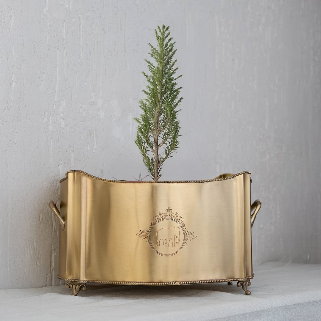 Gold metal planter placed inside a black gift box with open lid showing secure and stylish product packaging.