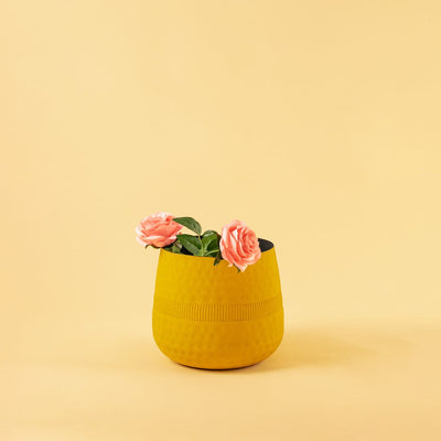 Small yellow textured pot with black interior styled in a modern living space adding bright minimal decor to shelves and tables.