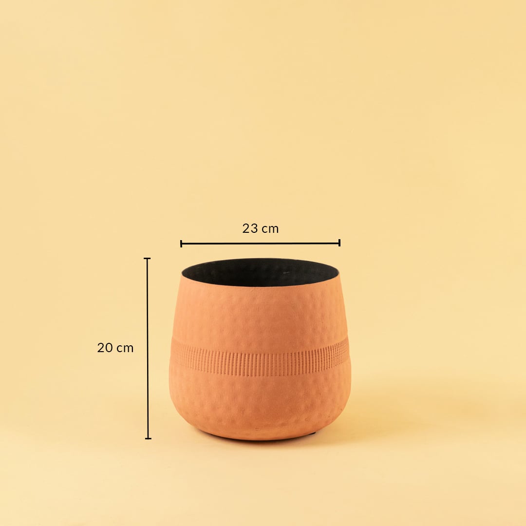 Terracotta textured pot with black interior shown with 23 cm width and 20 cm height for modern decorative home styling.