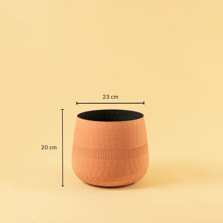 Terracotta textured pot with black interior shown with 23 cm width and 20 cm height for modern decorative home styling.