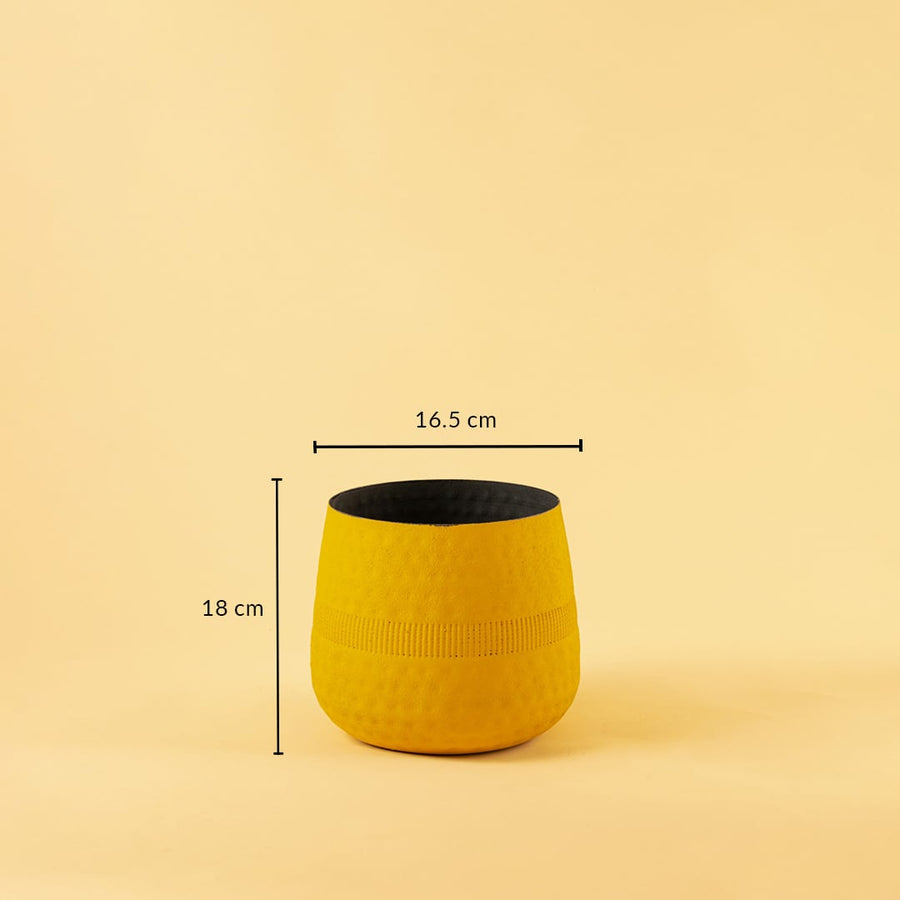 Small yellow textured pot with black interior shown with 16.5 cm width and 18 cm height for modern decorative home styling.