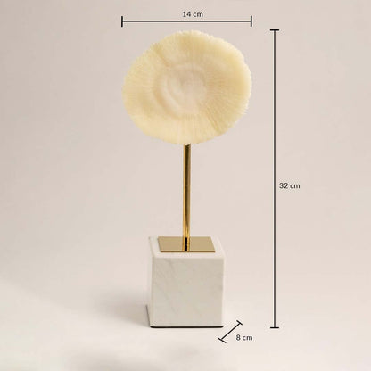 Decorative coral inspired sculpture shown in 32 cm height 14 cm width and 8 cm depth for accurate product sizing.