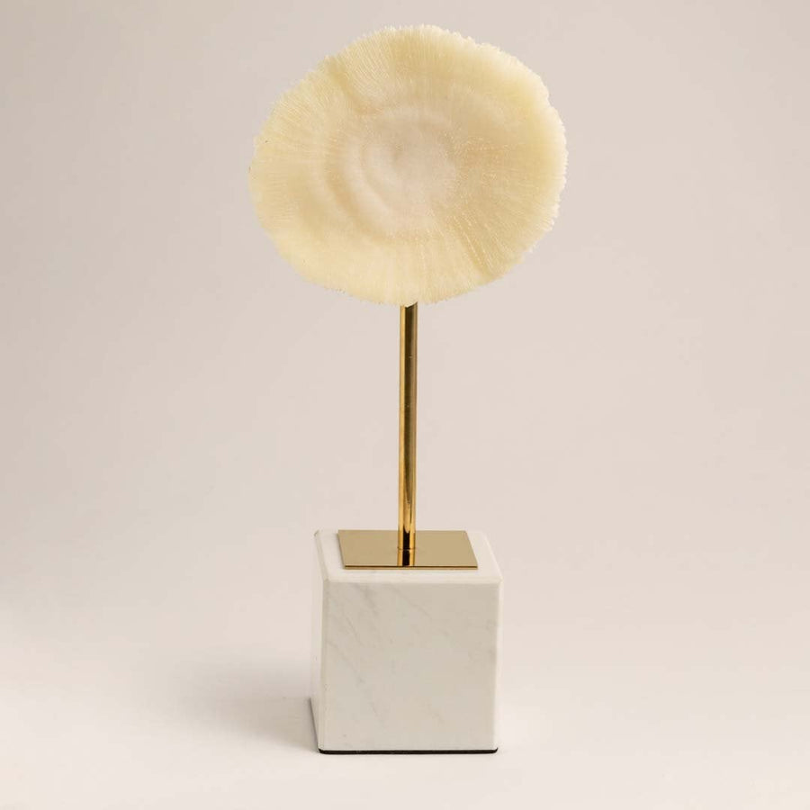Modern coral inspired decor sculpture with marble base and gold stand displayed on plain white background.