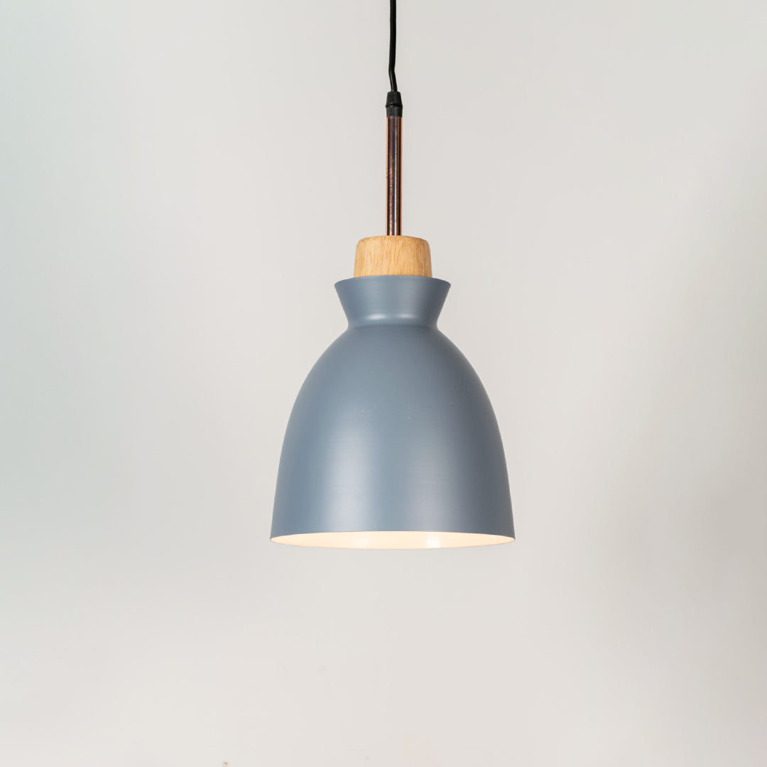 Horn Pendant Light- Grey