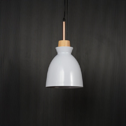 Horn Pendant Light White Light Off Black Background