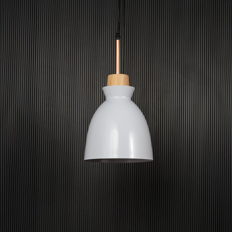 Horn Pendant Light White Light Off Black Background