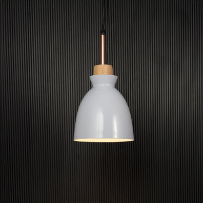 Horn Pendant Light White Light On Black Background
