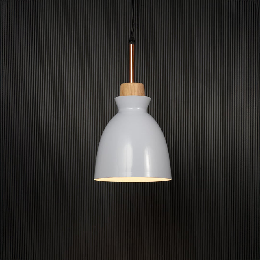 Horn Pendant Light White Light On Black Background