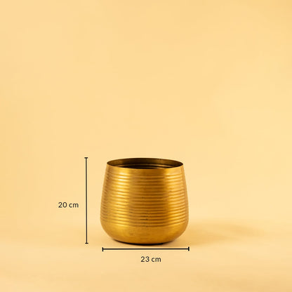Hymn Vase Gold Large Dimensions