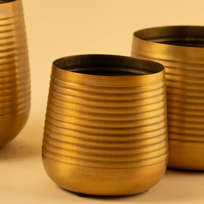 Gold metal planter closeup with ribbed texture and glossy finish perfect for modern tabletop and shelf decor styling.