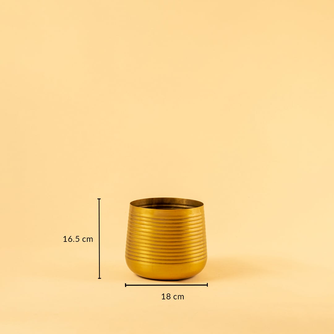 Gold metal planter decor with 16.5 cm height and 18 cm width ideal for modern shelves tables and home styling.