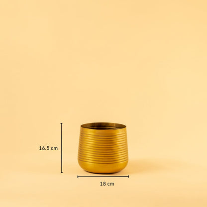 Gold metal planter decor with 16.5 cm height and 18 cm width ideal for modern shelves tables and home styling.