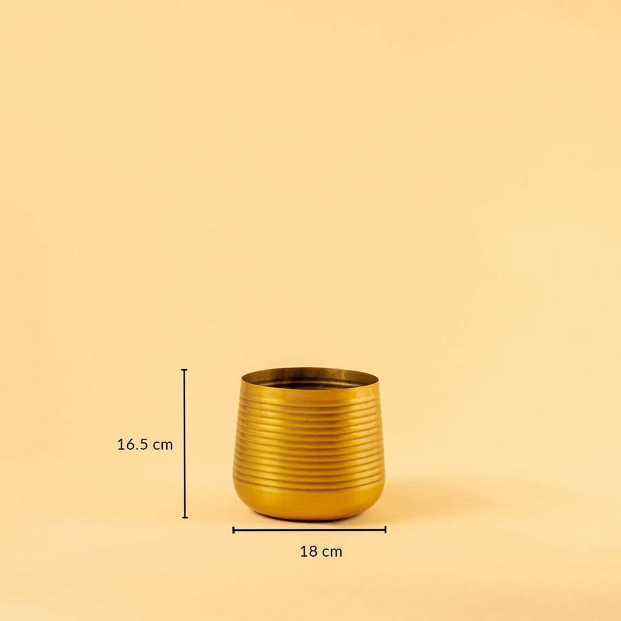 Gold metal planter decor with 16.5 cm height and 18 cm width ideal for modern shelves tables and home styling.