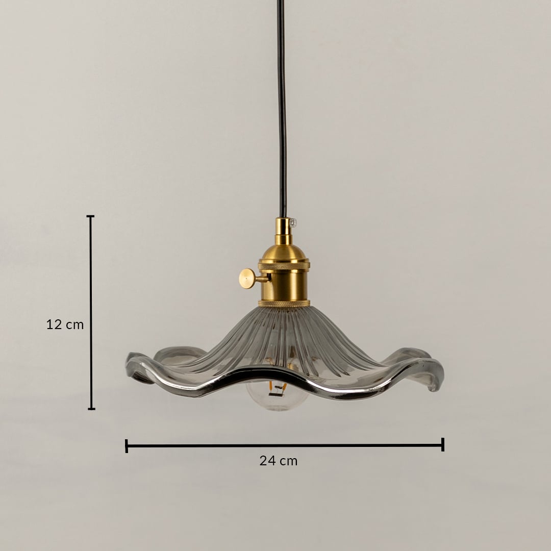 Smoky glass and brass pendant light dimension image with 24 cm width and 12 cm height for luxury dining placement.