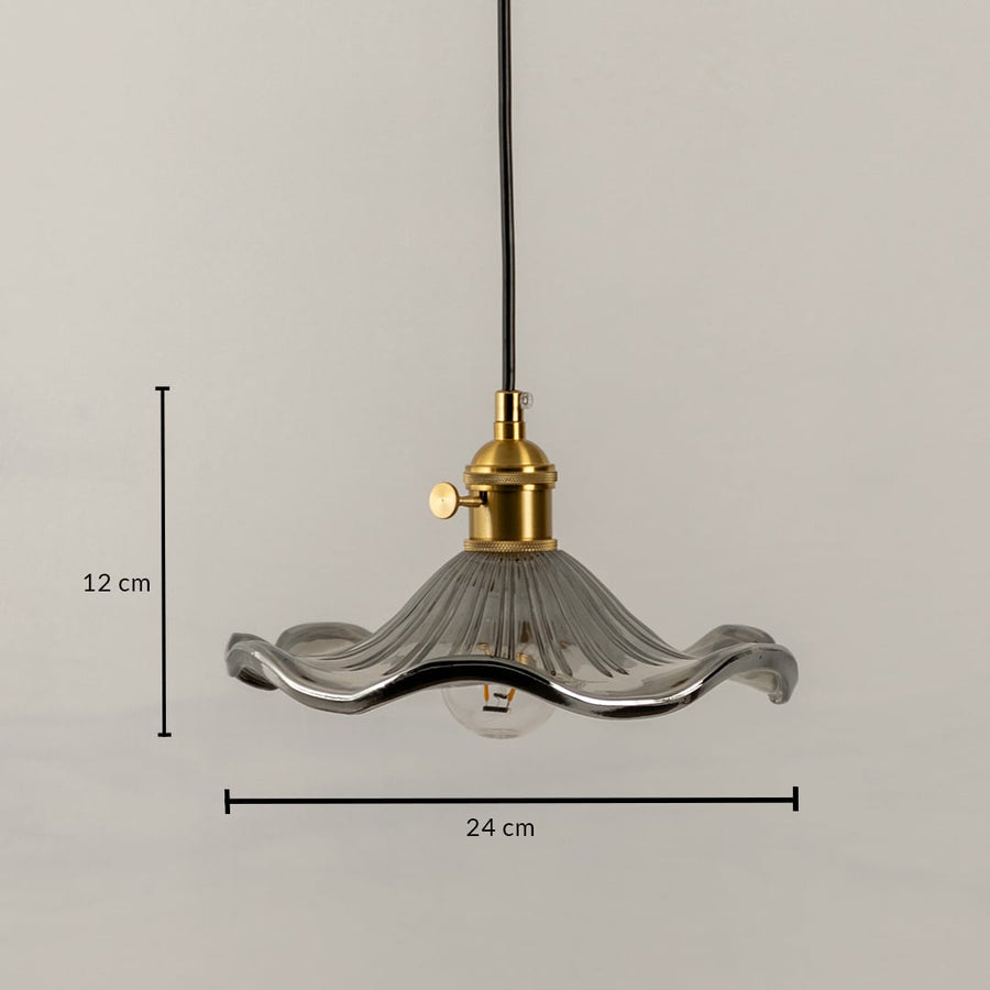 Smoky glass and brass pendant light dimension image with 24 cm width and 12 cm height for luxury dining placement.