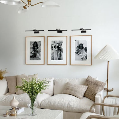Elegant black metal picture light enhancing modern wall decor with focused illumination for artworks and display areas.