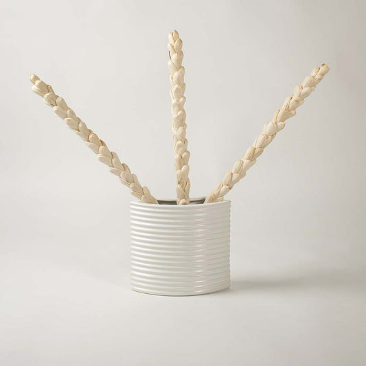 White ribbed ceramic planter placed in a stylish interior perfect for living rooms hallways and modern decorative arrangements.