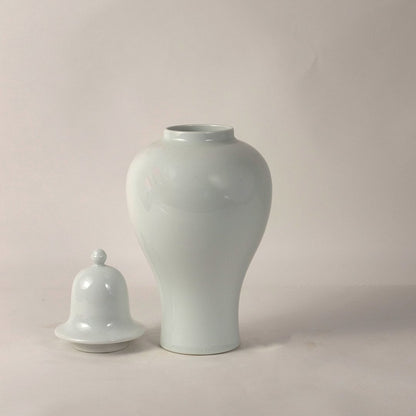 Artistic white ceramic ginger jar with glossy smooth finish and lid designed for stylish home interior accents.